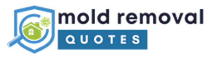 winchester mold removal