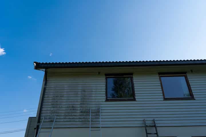 winchester mold removal